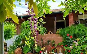 Night Flower Villa